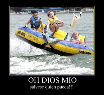 20080819112706-5lwfv4.jpg